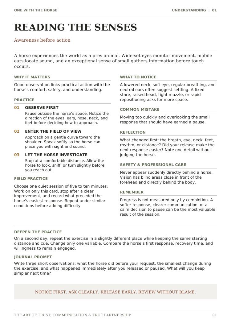 Detailed back of the Reading the Senses horse card