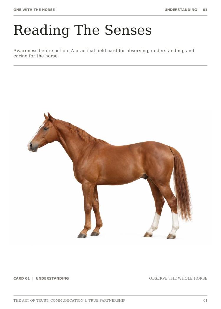 Illustrated Reading the Senses horse card